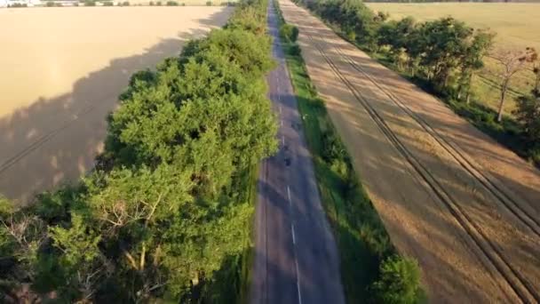 Volo aereo drone vista sul campo di grano autostrada e alberi verdi all'alba tramonto — Video Stock