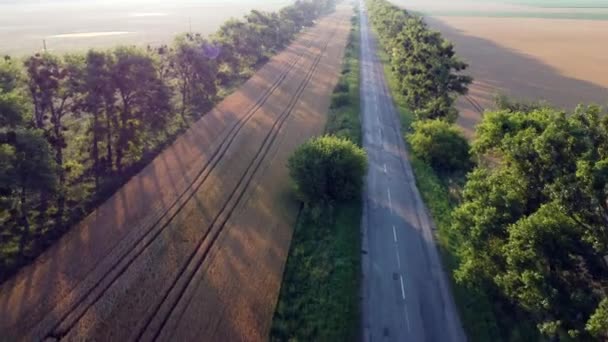 Flygdrönare visa flygning över motorväg vete fält och gröna träd vid solnedgången gryning — Stockvideo