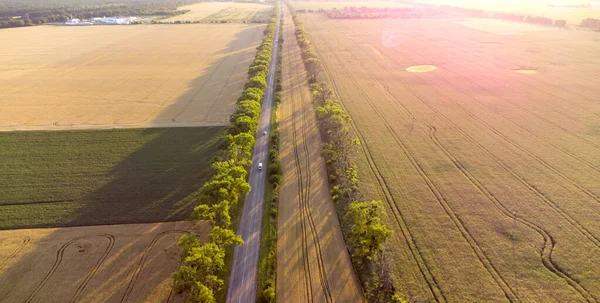 Дрон летить по дорозі між пшеничними полями під час заходу сонця . — стокове фото