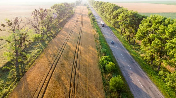 Voo de drone aéreo sobre rodovias, campos de trigo e árvores verdes ao pôr-do-sol — Fotografia de Stock
