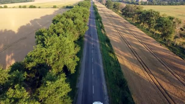 Flygdrönare visa flygning över motorväg vete fält och gröna träd vid solnedgången gryning — Stockvideo