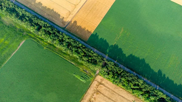 Vue aérienne d'un drone survolant différents champs agricoles verts jaunes — Photo