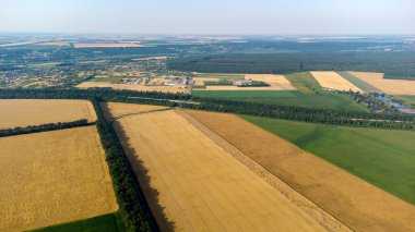 Hava aracı farklı sarı yeşil tarım alanları üzerinde uçuyor.