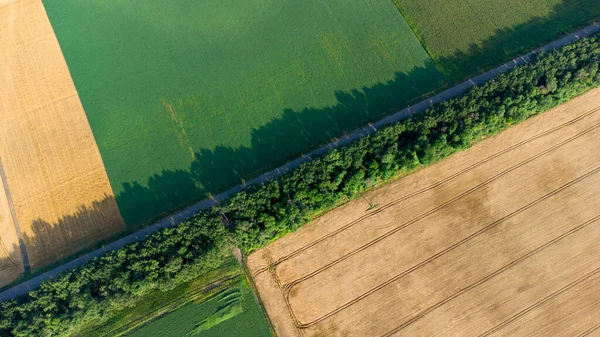Vue aérienne d'un drone survolant différents champs agricoles verts jaunes — Photo