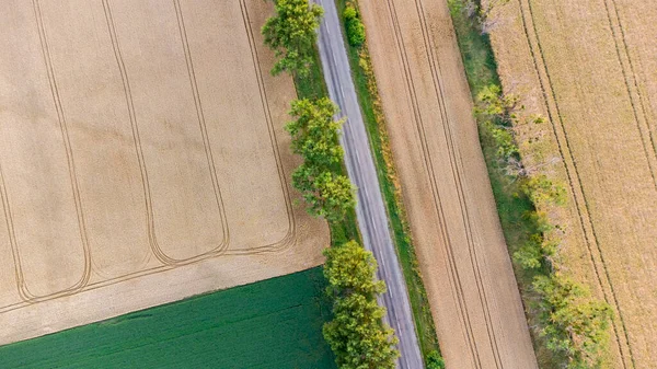 Drohnenflug über verschiedene gelb-grüne landwirtschaftliche Felder — Stockfoto