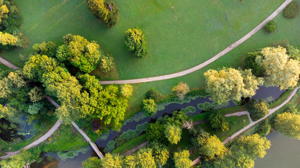 Top view dirt paths in park. Green trees, glades, lakes. Summer day. Natural background. Aerial scenery. Forest scene. natural environment. Ecology, environmental protection. Arboretum from above