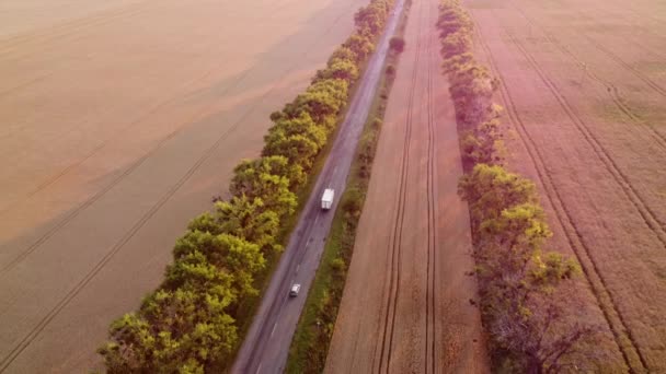 Drone volando sobre la carretera entre campos de trigo durante la puesta del sol del amanecer. — Vídeos de Stock