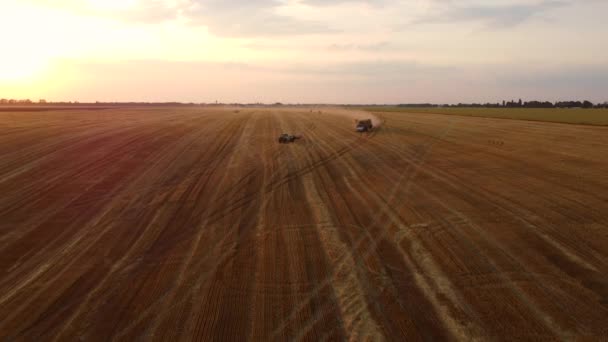 Вантажівка, завантажена стовпчиками сіна до трактора для завантаження стовбура сіна — стокове відео