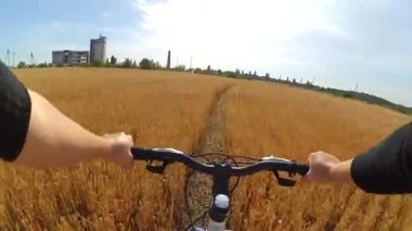 Buğday alanı bir adam bisikletçi bir bisiklet sürmek