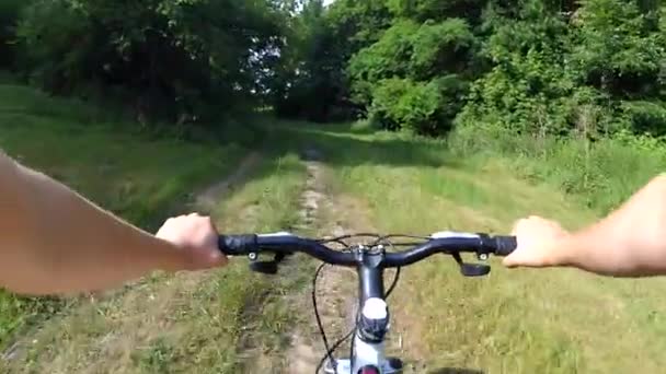 Fietsmeisje op de fiets in een groen bos — Stockvideo