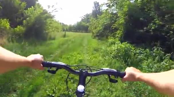 Chica ciclista montando en bicicleta en un bosque verde — Vídeo de stock