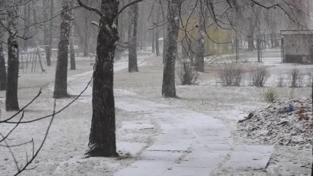 街中の雪と曲がりくねった道 — ストック動画