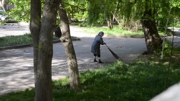 Wanita membersihkan wanita menyapu jalan dengan sapu di pagi hari — Stok Video