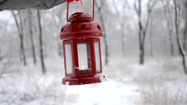 Håller ett rött ljus lykta i vinterskogen. — Stockvideo