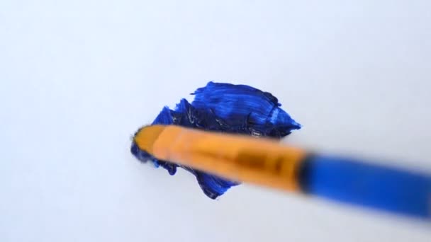 HD 1080 Pincel azul pintado sobre papel branco — Vídeo de Stock