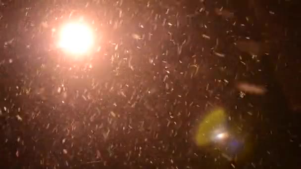 雪の夜の街灯 — ストック動画