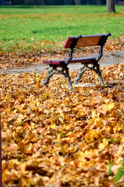 가을에 공원에 있는 벤치 — 스톡 사진