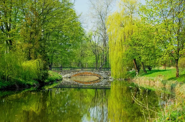 Puente de piedra sobre el lago en un parque en primavera — Foto de Stock