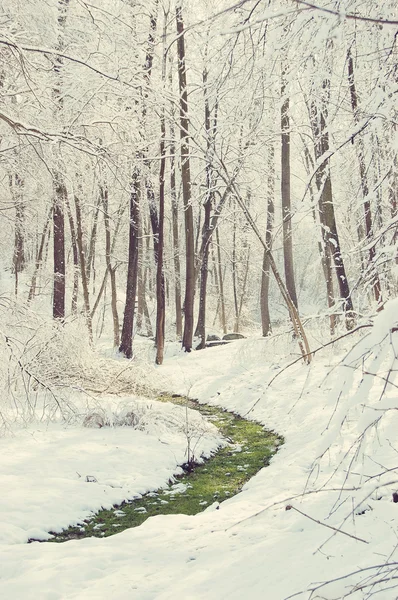 Bande d'herbe verte dans la neige — Photo