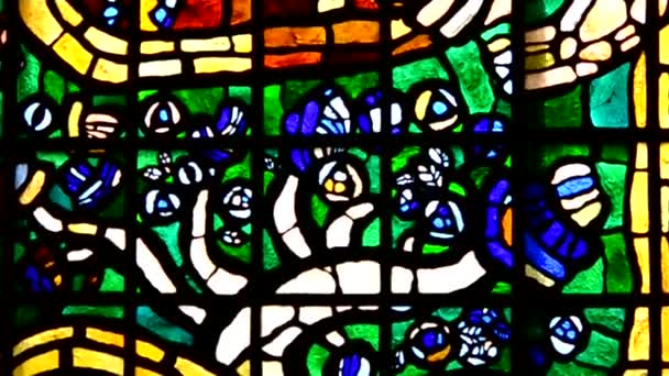 Man with horse stained glass — Stock Video