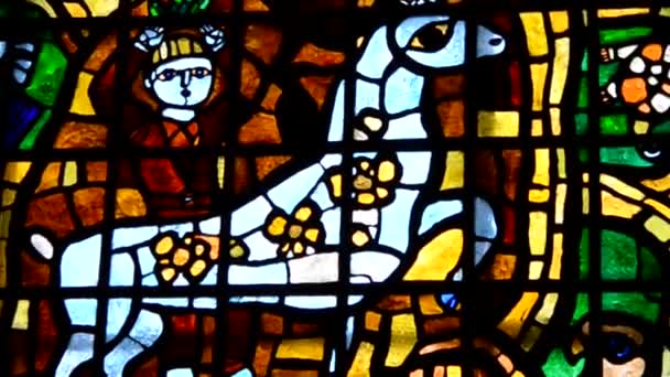 Man with horse stained glass — Stock Video