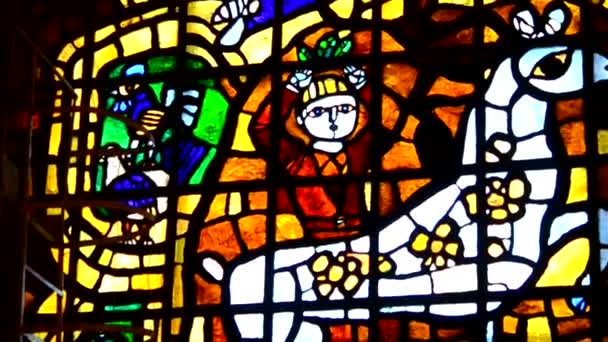 Man with horse stained glass — Stock Video