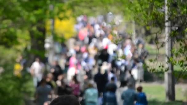 Molte persone, la folla, camminando lungo la strada sfondo sfocato — Video Stock