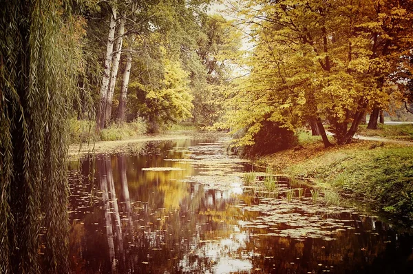 Lac dans le parc d'automne — Photo