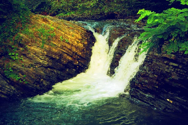 Pequena cachoeira nas rochas — Fotografia de Stock