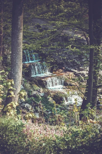 Cachoeira no parque, filtro Vintage escuro — Fotografia de Stock