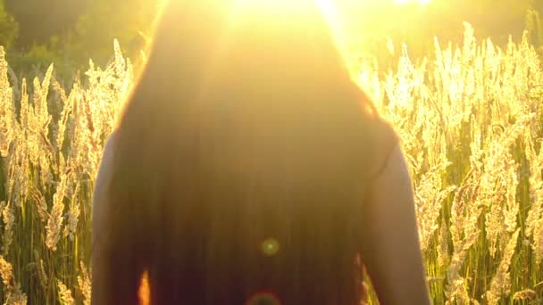 Menina com cabelos longos fora do campo com grama alta — Vídeo de Stock