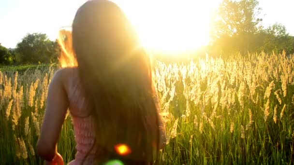 Frau läuft bei Sonnenuntergang aufs Feld — Stockvideo