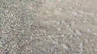 Güneşli bir yaz gününde kumlu bir sahilde deniz kabukları ile akan şeffaf su. Kumsal, deniz suyu, okyanus, göl. Vahşi yaşam. Doğa arkaplanı. Doğal arka plan. Üst Manzara. Dinlen, rahatla.