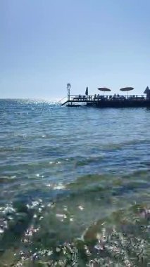 Güneşli bir yaz gününde insanlar masalarında oturup deniz kenarında bir rıhtımda yemek yiyorlar. Deniz kıyısındaki kafe restoranı. Deniz kenarı manzarası. Yaz tatili turizmi tatili