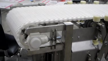 Modüler bant roter taşıyıcı. Devamlı hareket sistemi. Malzeme ya da ürün taşımacılığı. Hareket eden nesneler için taşıyıcılar. Üretim Üretimi. Endüstriyel kuşak. Bağlı plastik bağlantılar