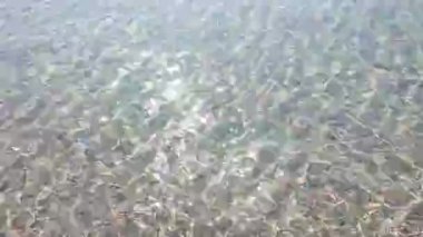 Clean transparent water on shallow sandy seashore with shells with shells on sunny summer day. Sun glare on surface of water. Small waves on sea coast. Nature backdrop. Natural background.
