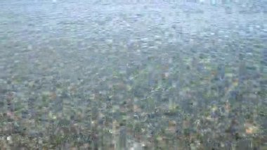 Sığ kumlu deniz kıyısında şeffaf su, güneşli yaz gününde deniz kabukları. Güneş suyun yüzeyinde parlıyor. Deniz kıyısında küçük dalgalar. Doğa arkaplanı. Doğal arkaplan.