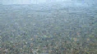 Sığ kumlu deniz kıyısında şeffaf su, güneşli yaz gününde deniz kabukları. Güneş suyun yüzeyinde parlıyor. Deniz kıyısında küçük dalgalar. Doğa arkaplanı. Doğal arkaplan.