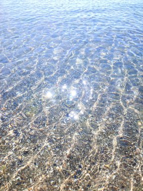 Sığ kumlu deniz kıyısında şeffaf su, güneşli yaz gününde deniz kabukları. Güneş suyun yüzeyinde parlıyor. Deniz kıyısında küçük dalgalar. Doğa arkaplanı. Doğal arkaplan