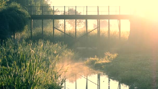 Міст і ставок вранці з фільтром — стокове відео