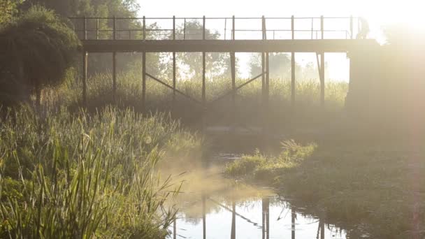 Oude brug vroeg in de ochtend in de zomer met een kleine rivier — Stockvideo