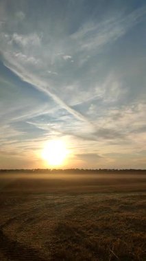 Güneşli yaz akşamında hasattan sonra toz bulutuyla kaplı bir tarla. Kirli buğday tarlası, orman çiftliği, ufuk çizgisi, mavi gökyüzü beyaz bulutlar, parlayan güneş. Tarım manzarası Dikey
