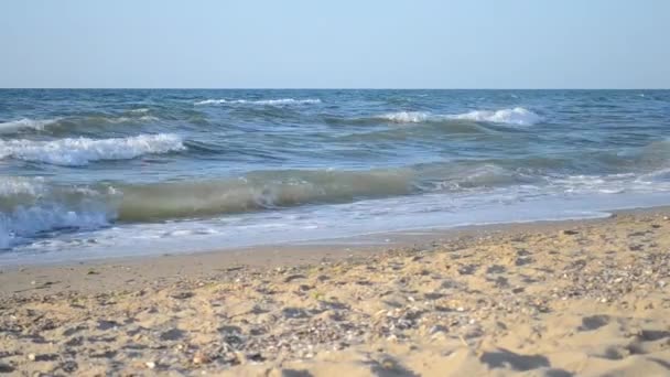 Onda di mare con giorno di schiuma bianca — Video Stock