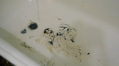 Boya soyan eski paslı küvet. Banyodaki drenaj deliği ve musluktan akan su. Banyo deliği ve akan su. Eski püskü küvette akan su musluktan akan su.