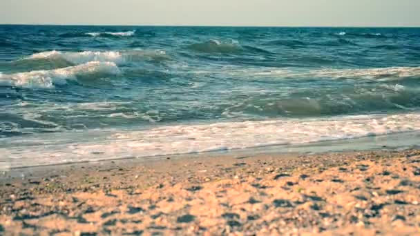Golven van de zee, het strand, de horizon lijn met geluid — Stockvideo