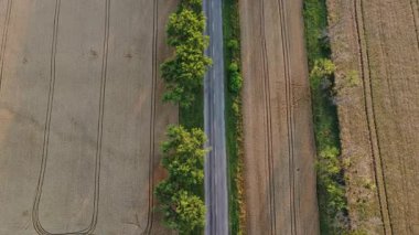 Cars driving the road with trees between large fields of yellow ripened wheat in summer. Agricultural agrarian industrial landscape. Harvest ripe mature crop scenery. Aerial drone view. Top view.