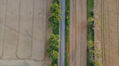 Yazın, büyük sarı buğday tarlaları arasında ağaçlarla yol alan arabalar. Tarımsal tarım endüstrisi manzarası. Olgun ürün manzarası hasat et. Hava aracı görüntüsü. Üst görünüm