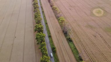 Yazın, büyük sarı buğday tarlaları arasında ağaçlarla yol alan arabalar. Tarımsal tarım endüstrisi manzarası. Olgun ürün manzarası hasat et. Hava aracı görüntüsü. Üst görünüm.