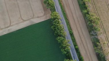 Yazın yeşil tarla ile sarı buğday tarlası arasında ağaçlarla yol alan arabalar. Tarımsal tarım endüstrisi manzarası. Olgun ürün manzarası hasat et. Hava aracı görüntüsü. Üst görünüm.