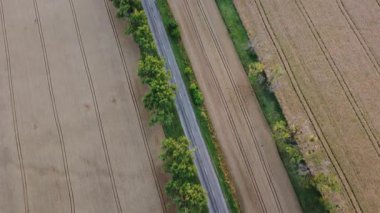 Yazın büyük sarı buğday tarlaları arasında ağaçlı arabalar için asfalt yol. Tarımsal tarım endüstrisi manzarası. Olgun ürün manzarası hasat et. Hava aracı görüntüsü. Üst görünüm.
